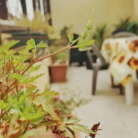Apartamento Girasolereale *